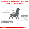 ROYAL CANIN Veterinary Dog Alimento seco hipoalergénico para perros adultos con reacciones alimentarias adversas 14 kg + ¡Sorpresa GRATIS para el perro!